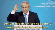 uk boris johnson prime minister jeremy hunt GIF