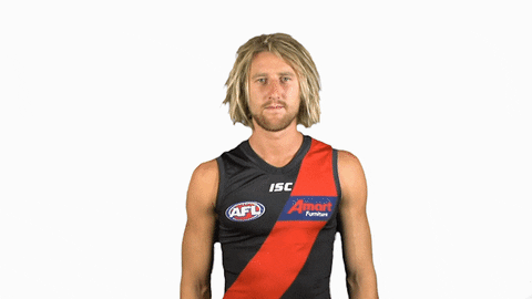 essendonfc giphyupload dons bombers essendon GIF