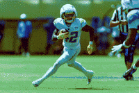 GIF by Impact Sac