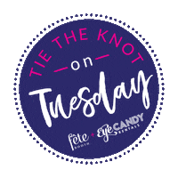 Fete Norton Sticker by Fête Booth