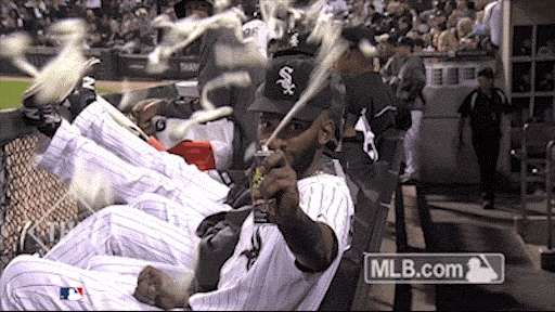 cws GIF by MLB