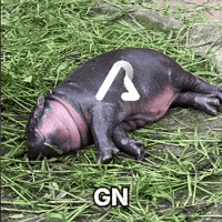 AidenLabs ai goodnight blockchain good night GIF
