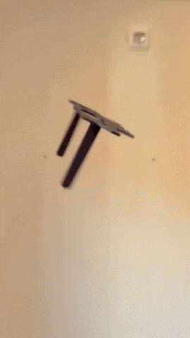 Beeandpuppycat GIF by Youtooz