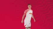 Oh Yeah Yes GIF by RB Leipzig