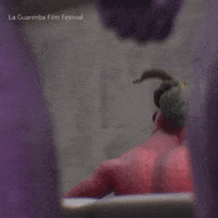 Fun Party GIF by La Guarimba Film Festival