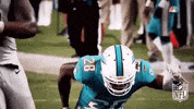 Miami Dolphins Football GIF by NFL