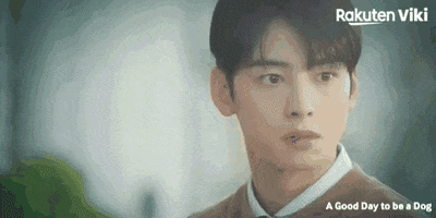 Cha Eun Woo Kdrama Couple GIF by Viki