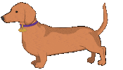 Dog Show Dogs Sticker by Westminster Kennel Club