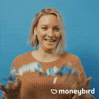 Party Glitter GIF by Moneybird