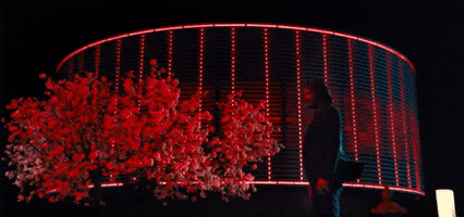 John Wick in Silence