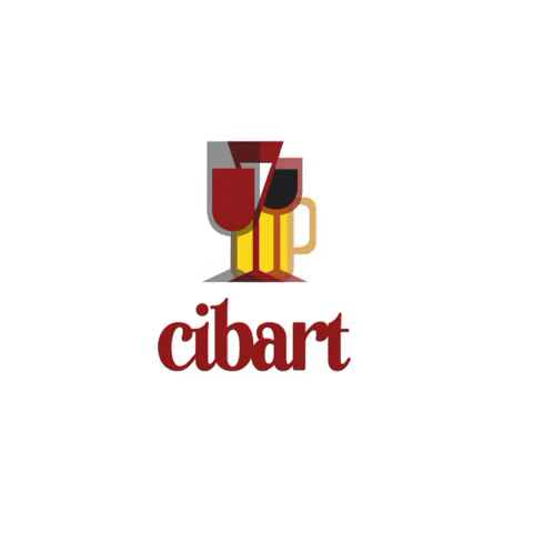 Party Beer GIF by cibart srl