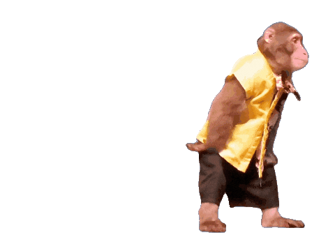 Fun Monkey Sticker