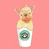 Dog Coffee GIF
