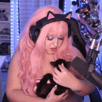 Black Cat Good Luck GIF