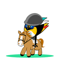 Ecuestre Sticker by Santiago 2023