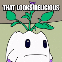 Feed Me Want GIF by Magic Eden