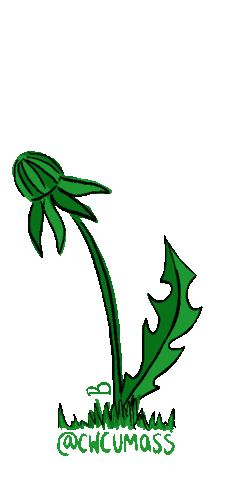 CWCEd giphyupload flower yellow spring Sticker