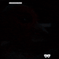 Robin GIF by The Masked Singer UK