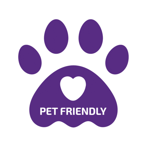 adoraadorabrasil giphyupload dora low carb pet friendly Sticker