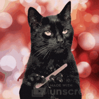 Over It No GIF by Unscreen