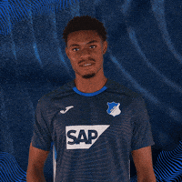 Sport Frees GIF by TSG Hoffenheim