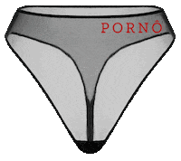 ZhilyovaLingeriePoland sexy mood lingerie pants Sticker