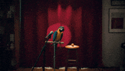 Stand Up Comedy Delivery GIF by foodora