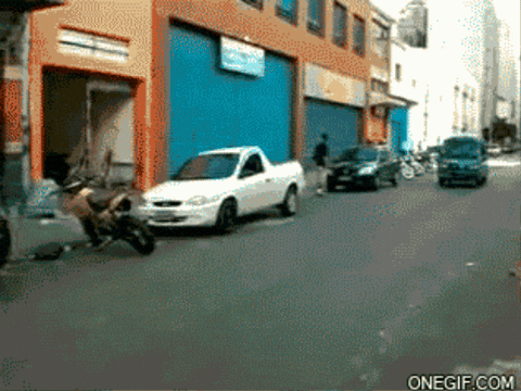 aleoxth giphygifmaker GIF