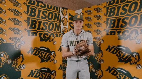 Baseball Bison GIF by NDSU Athletics