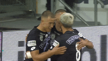 Celebration Sturmgraz GIF by SK Sturm