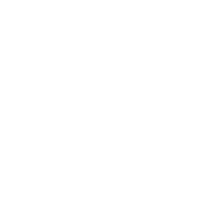 South Carolina College Sticker by Furman University