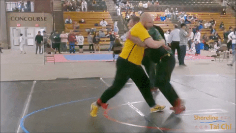 Grappling Martial Arts GIF by Shoreline Tai Chi