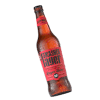 DrynksStore beer cheers friday drinks Sticker