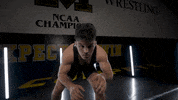 Ncaa Clayton GIF by Mizzou Athletics