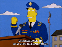 the simpsons episode 25 GIF