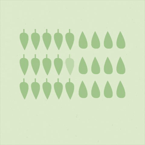 Forest Environment GIF by The Pew Charitable Trusts