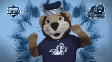 Happy College Sports GIF by College Colors Day