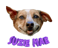 Dog Mãe Sticker
