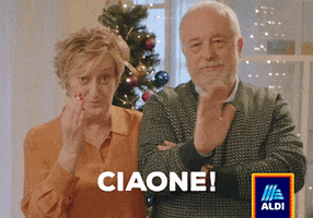 Natale Spesa GIF by ALDI Italia