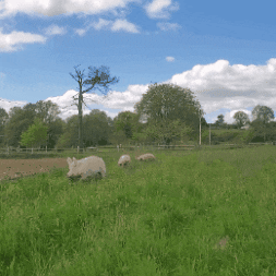 GIF by Refuge GroinGroin