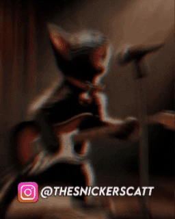 snickerscatt giphyupload singing cat thesnickerscatt guitar cat GIF