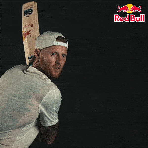 cricket world cup GIF by Red Bull