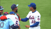 Talking Blue Jays GIF by Toronto Blue Jays