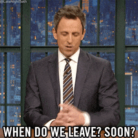 seth meyers GIF by Late Night with Seth Meyers