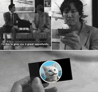 Black And White Cat GIF by vankedisi