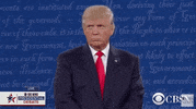 Donald Trump GIF by Election 2016