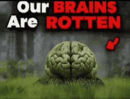 Nazoom1 brain rot brainrot rotten GIF