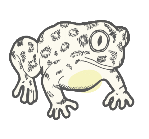 Frog Sticker by YOOLETTA
