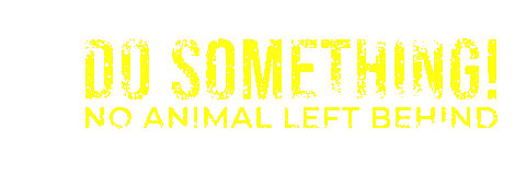 Do Something Sticker by HUDSY