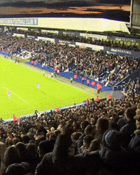 Celebrating West Brom GIF by West Bromwich Albion